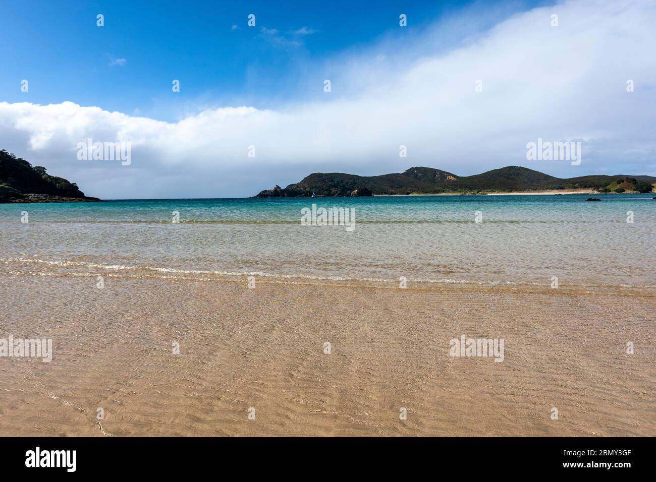 Matai Beach, Waikato Bay, Karikari Peninsula, New Zealand Stock Photo
