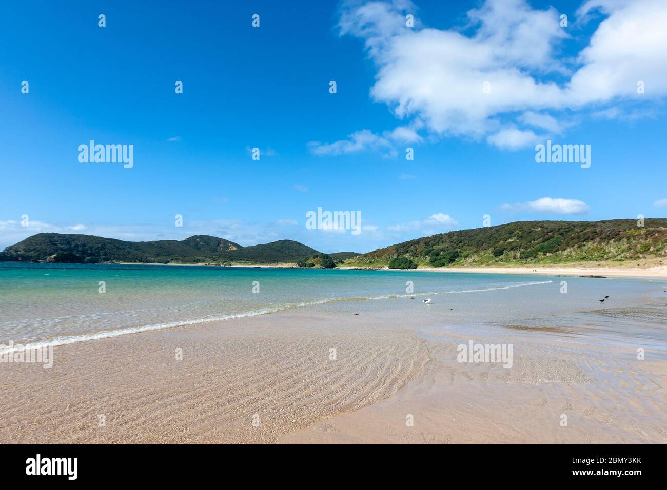 Matai Beach, Waikato Bay, Karikari Peninsula, New Zealand Stock Photo