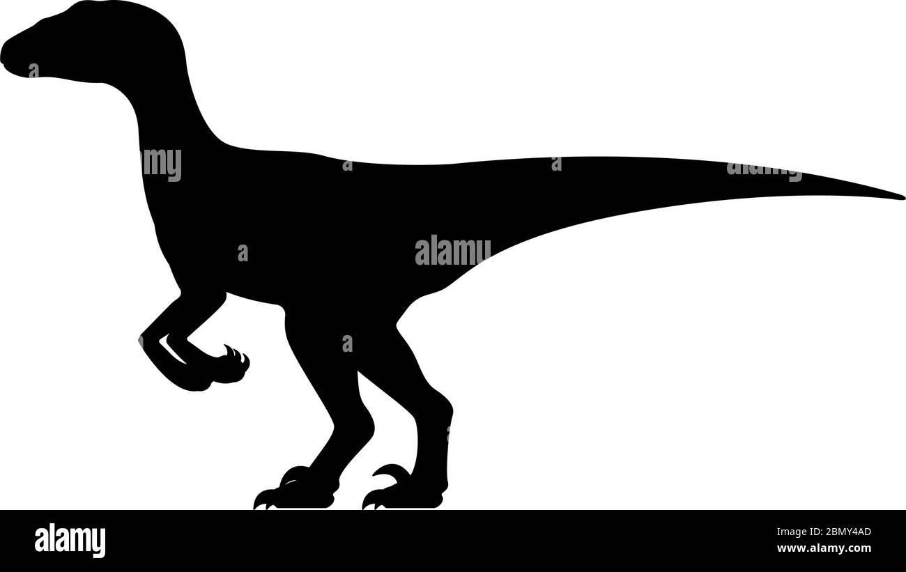 Velociraptor silhouette. Vector illustration black silhouette raptor dinosaur isolated on white background. Dinosaur logo icon, side view profile. Stock Vector