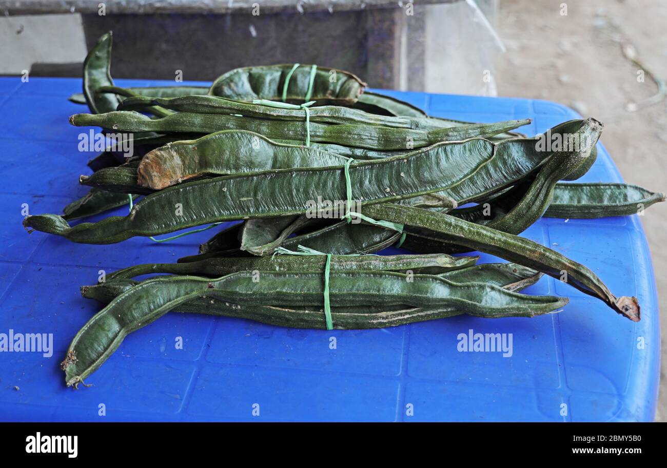 Icecream Bean (Inga edulis) beans on sale in roadside stall northern