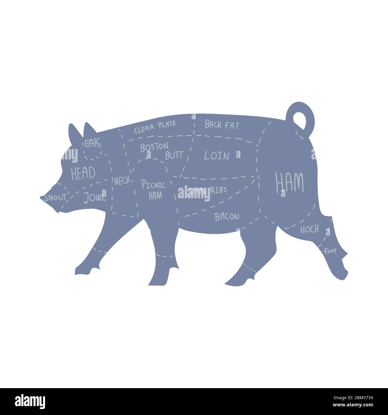 Cute french farmhouse pig butcher chart vector clipart. Hand drawn shabby chic style country farm kitchen. Illustration of farm animal pork livestock Stock Vector