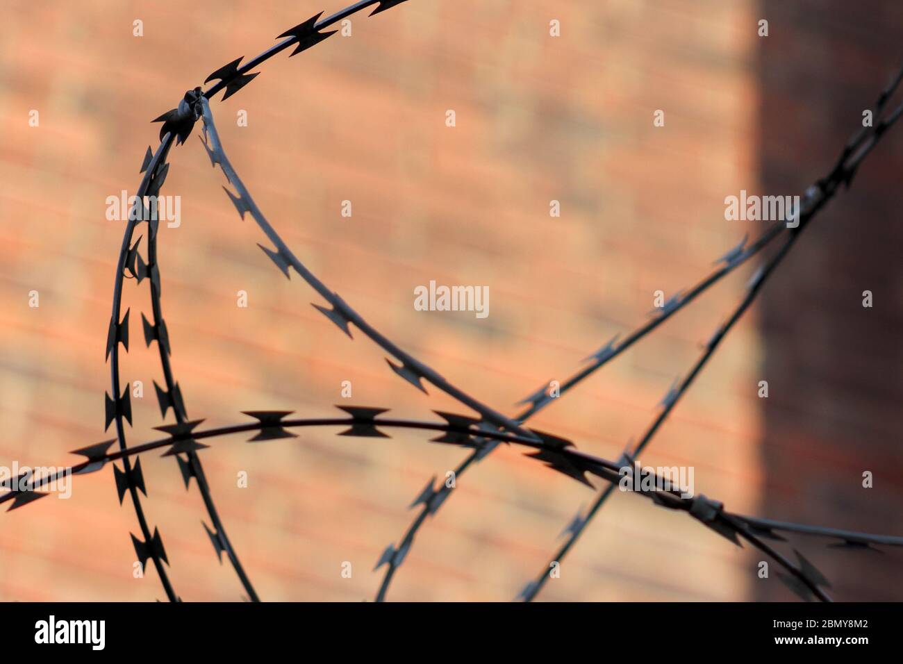 Prison wall razor wire hi-res stock photography and images - Alamy