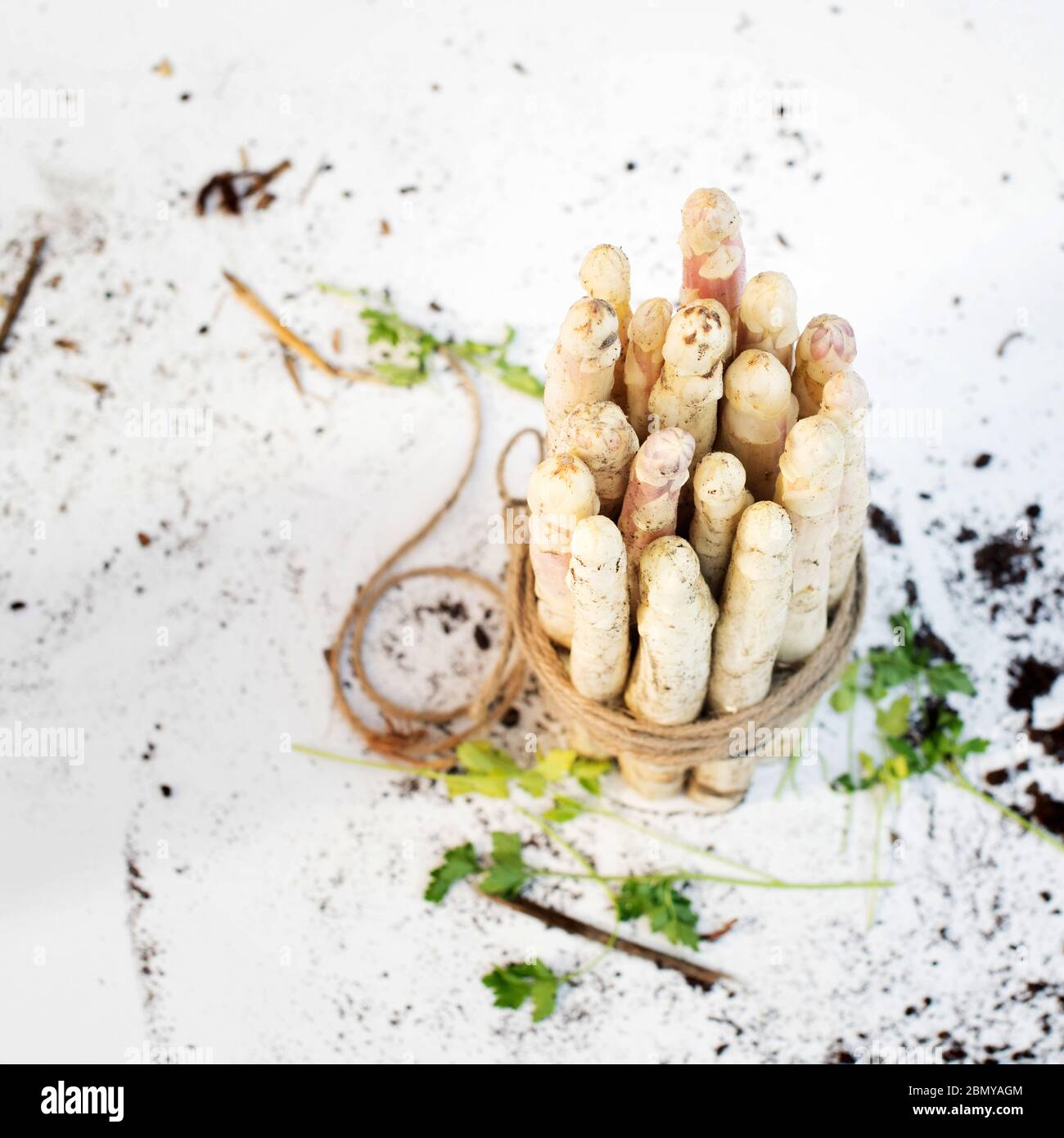 food white asparagus with white, gold, wooden background Stock Photo