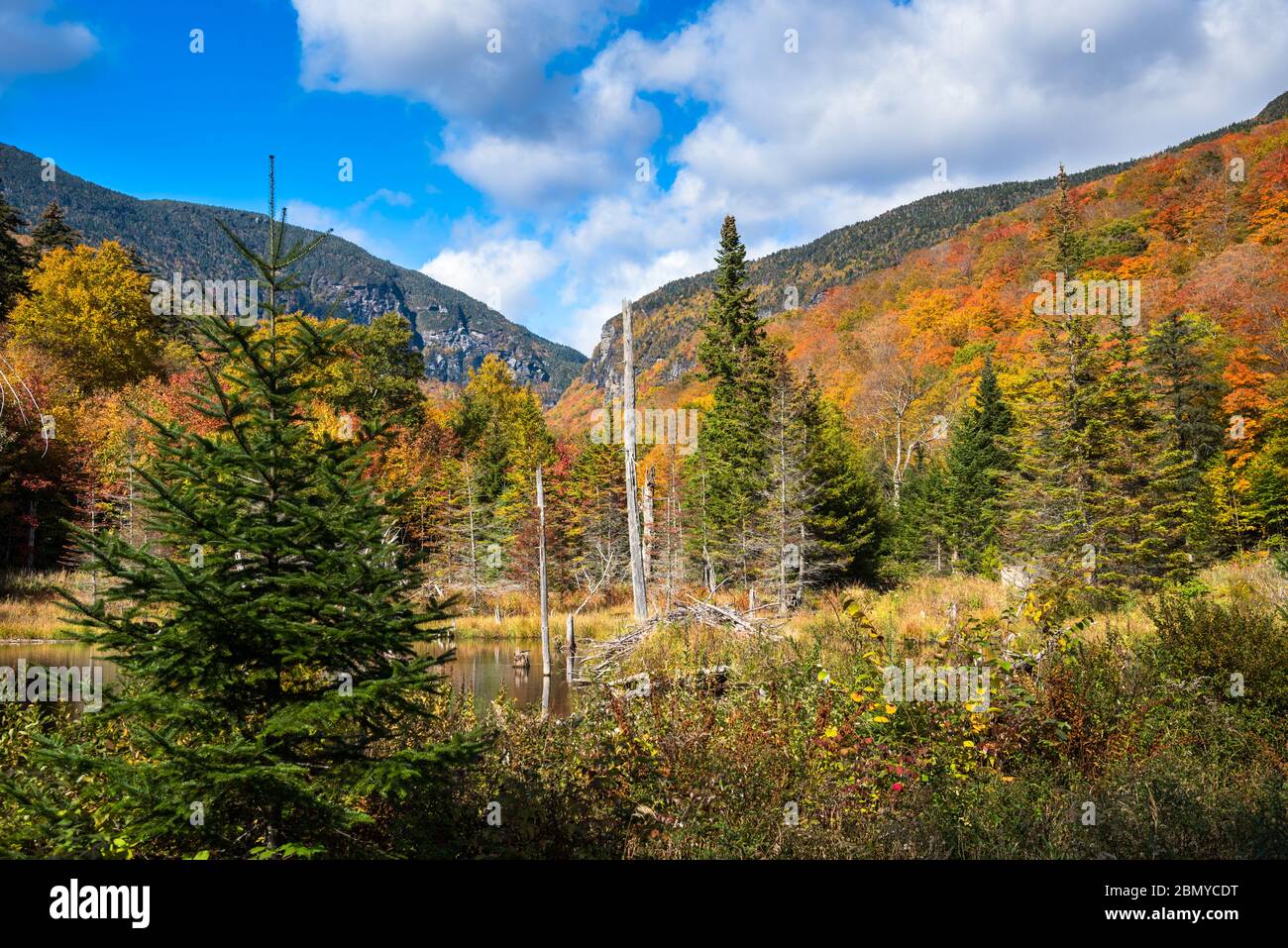 Majestic forested mountain scenery at the peak of fall foliage on a sunny day. A pond surrounded by colourful deciduous trees is in foreground. Stock Photo