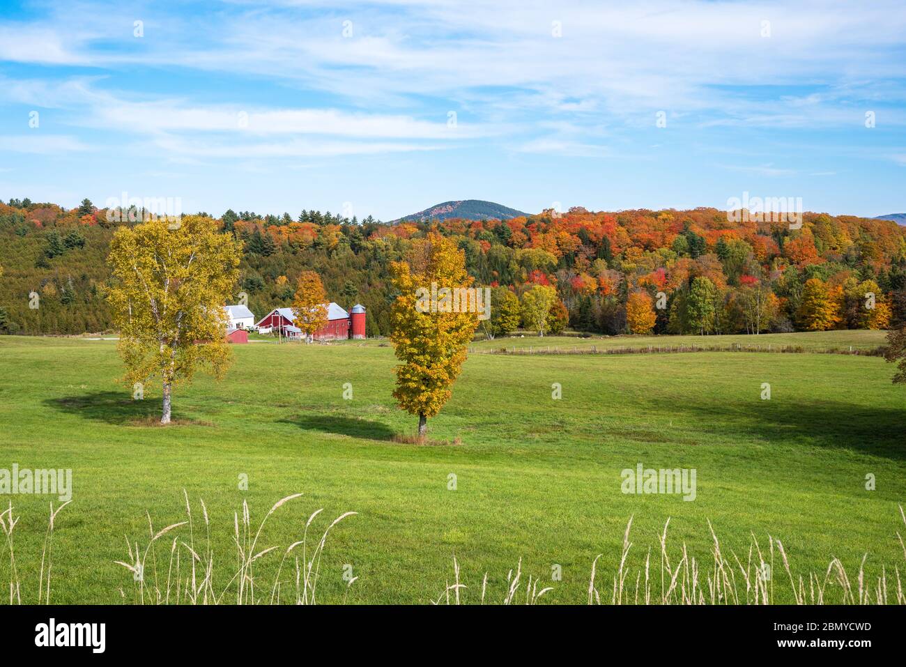Rural landscape with a red barn with a silo at the foot of a forested hill and pasture in foreground. Beautiful autumn colours. Stock Photo