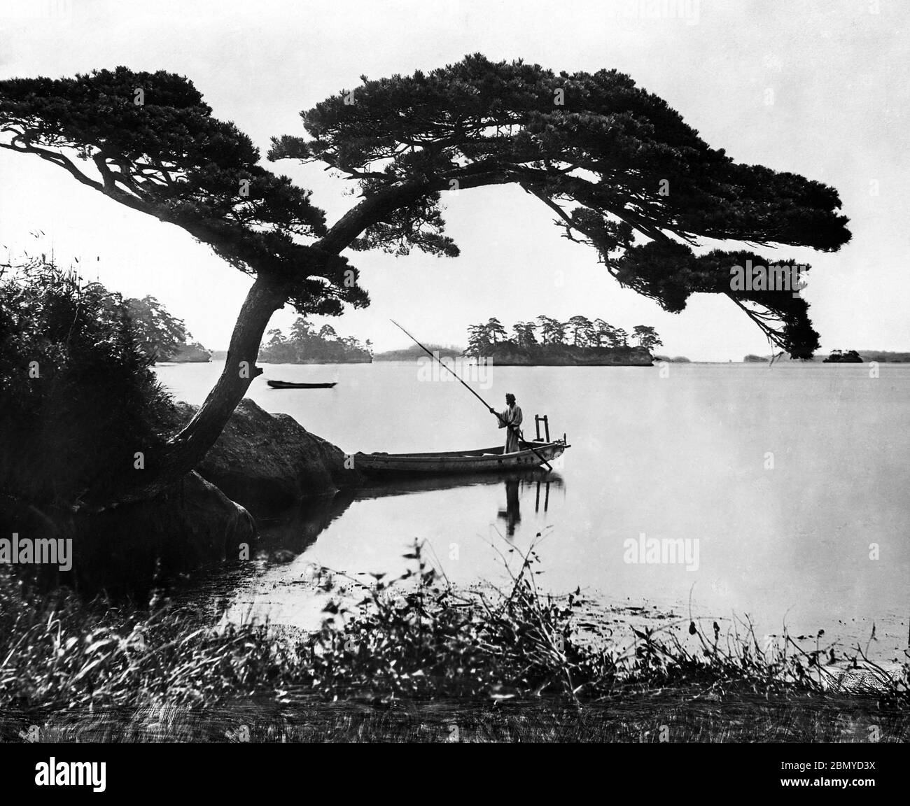 [ 1890s Japan - Japanese Boatman in Matsushima ] —   A boat under a beautiful pine tree in Matsushima, Miyagi Prefecture. The 260 tiny islands covered in pines are listed as one of the Three Views of Japan (日本三景, Nihon Sankei), a canonical list of Japan's three most celebrated scenic sights.  From a series of glass slides published (but not photographed) by Scottish photographer George Washington Wilson (1823–1893). Wilson’s firm was one of the largest publishers of photographic prints in the world.  19th century vintage glass slide. Stock Photo