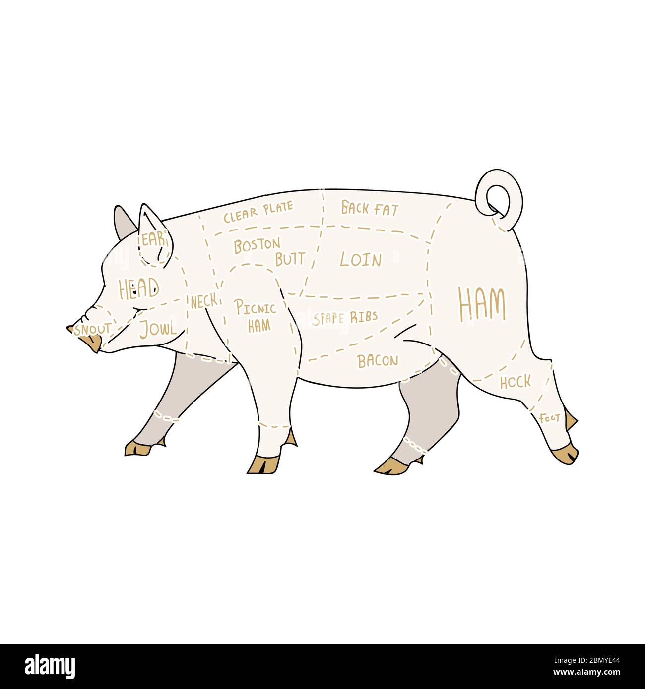 Cute french farmhouse pig butcher chart vector clipart. Hand drawn