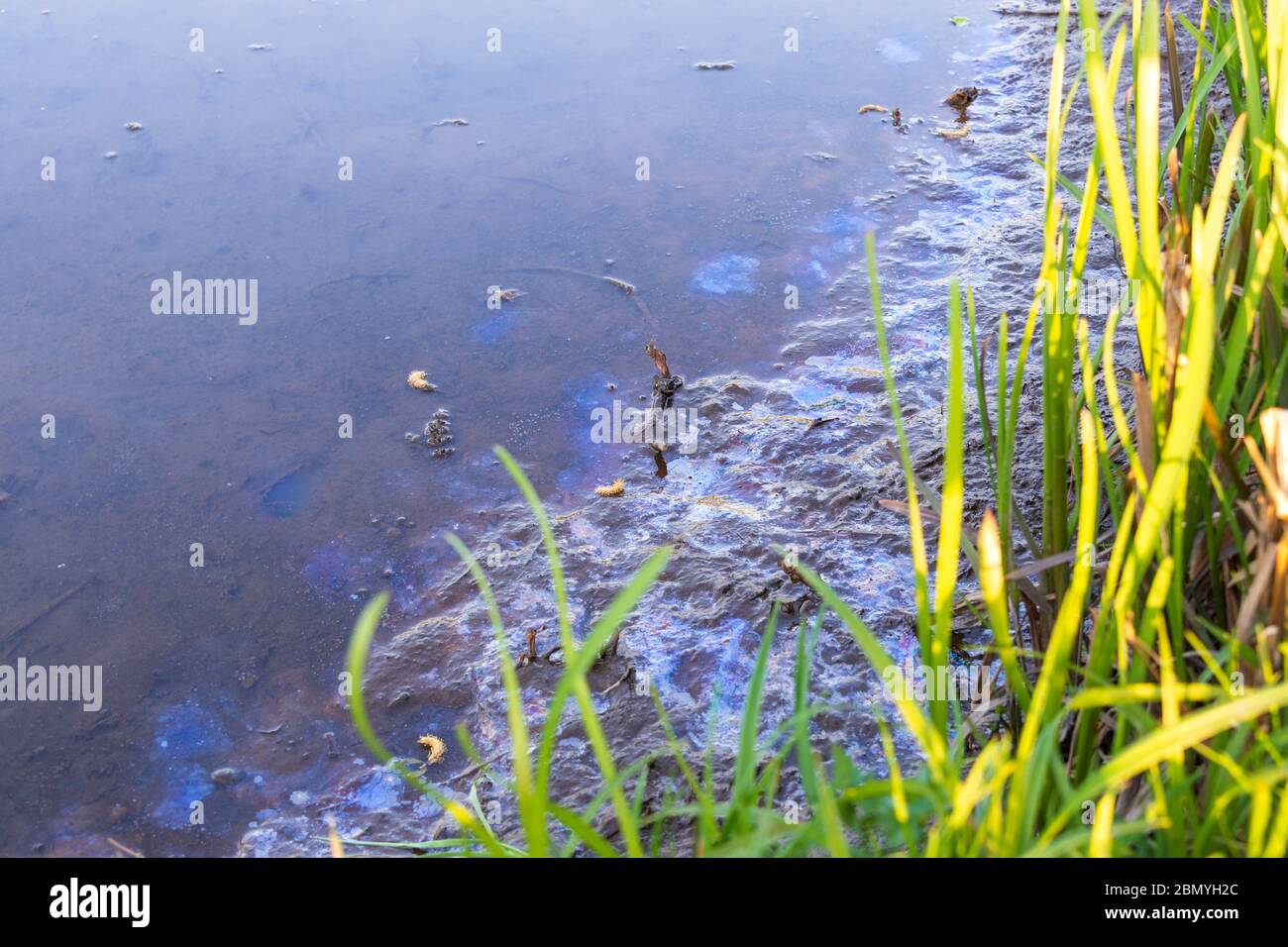 Oil spill on the river, environmental problem. Dirt on the water. Dirty oil stains on the