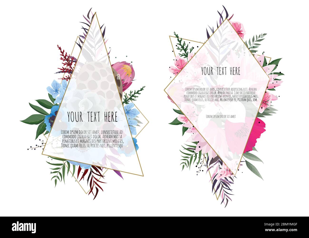 Vector illustration of a beautiful floral frame with geometric frame ...