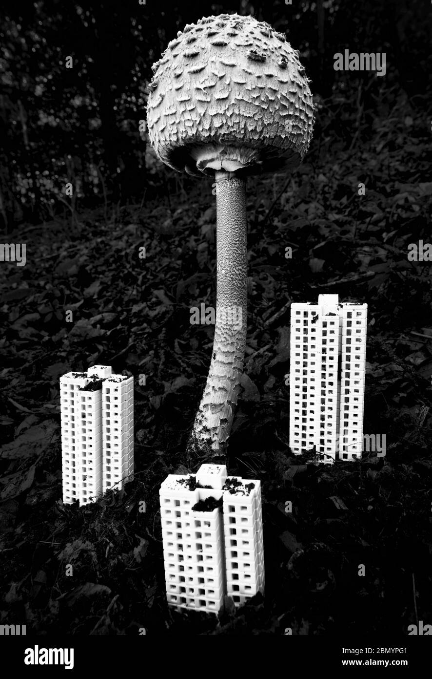Giant atomic fungus near skyscrapers Stock Photo