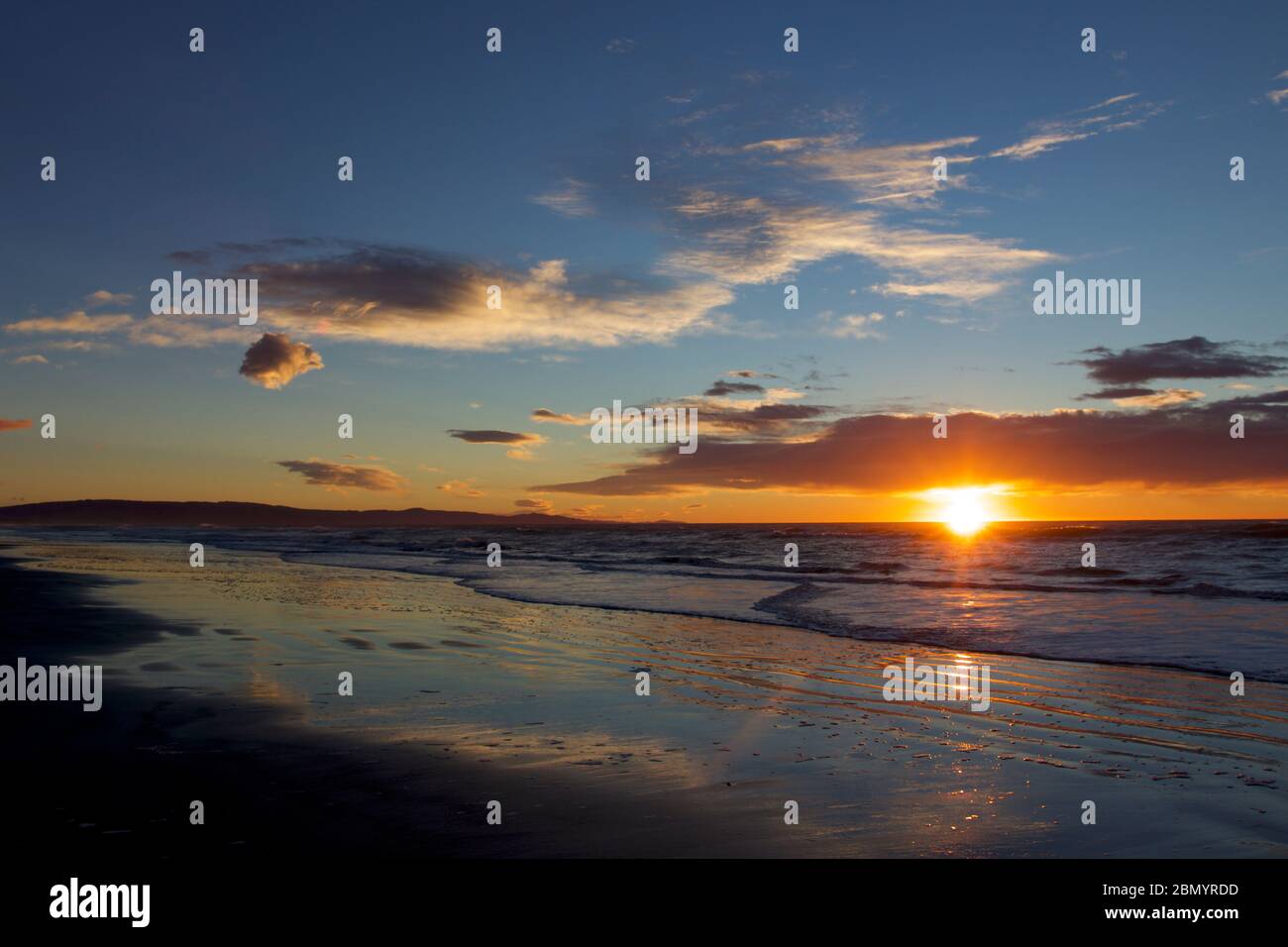New Zealand Beech Sunrise Stock Photo