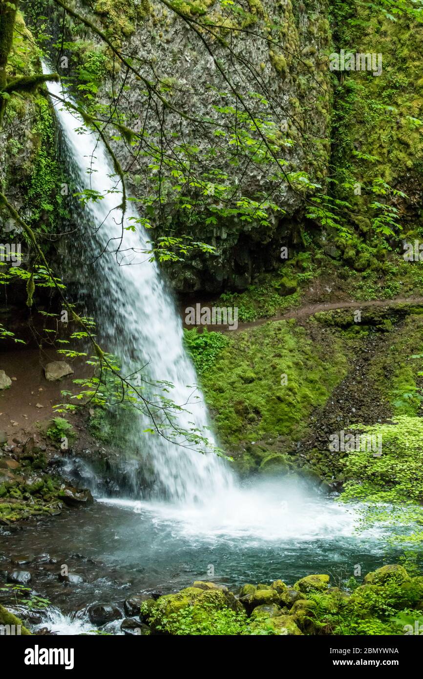 Horsetail Falls is located 2.75 miles east of Multnomah Falls on the 