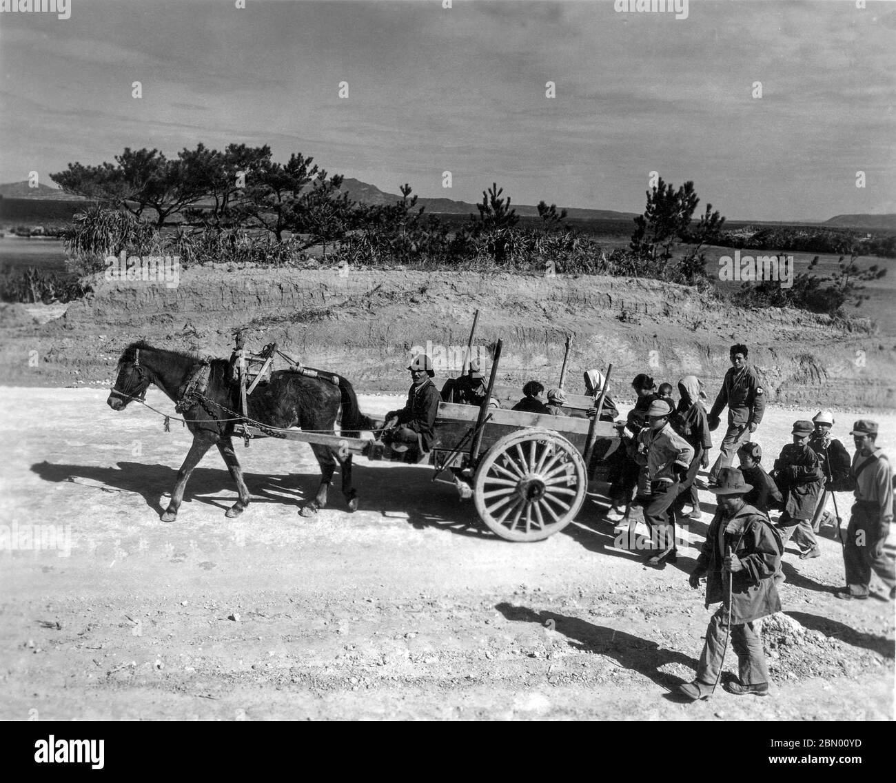 [ 1946 Japan - Okinawans on the Road ] —   Okinawans with a horse-drawn cart walking on a road near Taira (田井等) in Nago (名護), Okinawa, 1946 (Showa 21).  20th century gelatin silver print. Stock Photo