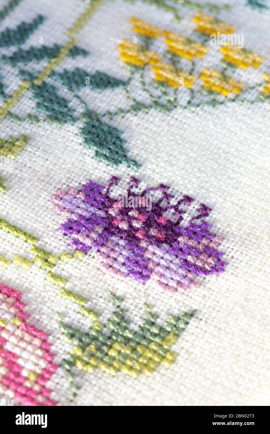 Counted cross stitched flower motif detail, 1980s Stock Photo