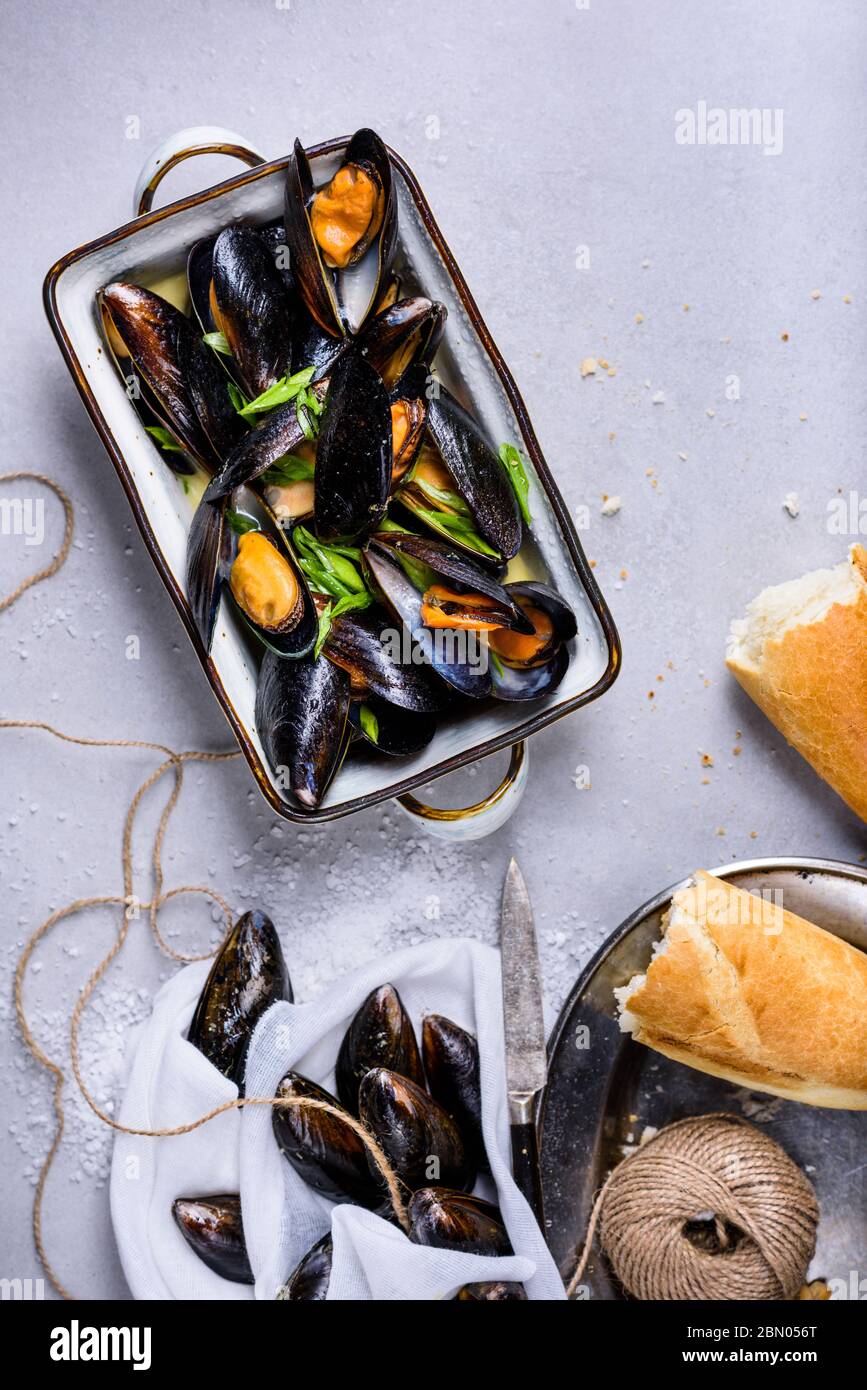 Mollusk bivalves hires stock photography and images Alamy