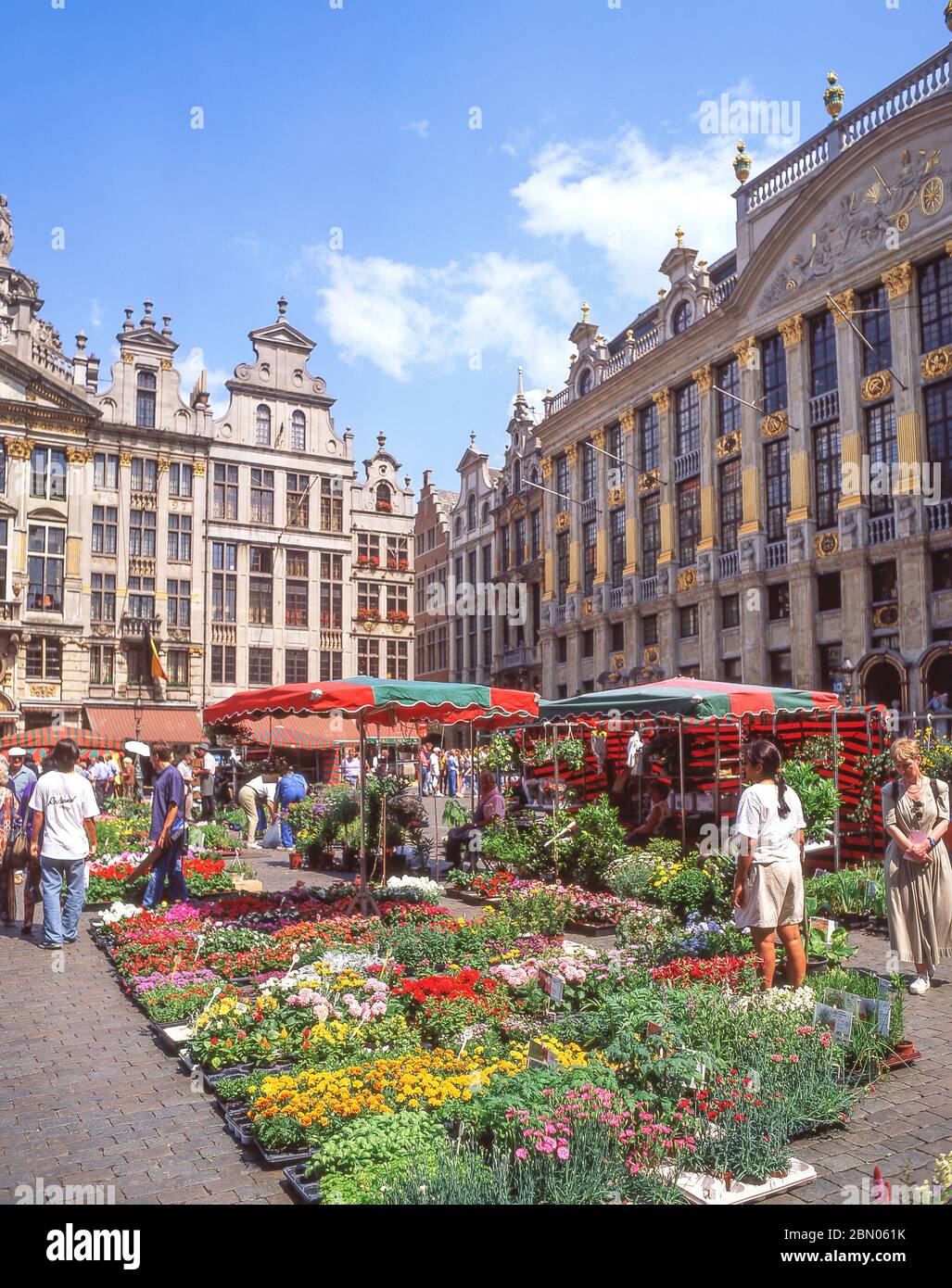 Flower market in The Grand Place (Grote Markt), Bruxelles-Ville, Brussels, Kingdom of Belgium Stock Photo