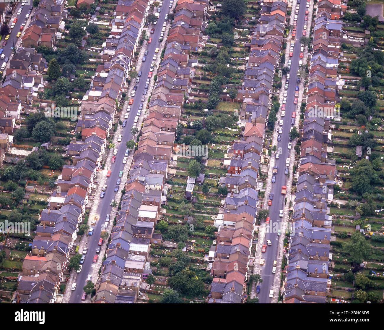 Aerial view terraced houses and gardens, Tufnell Park, London Borough of Camden, Greater London, England, United Kingdom Stock Photo