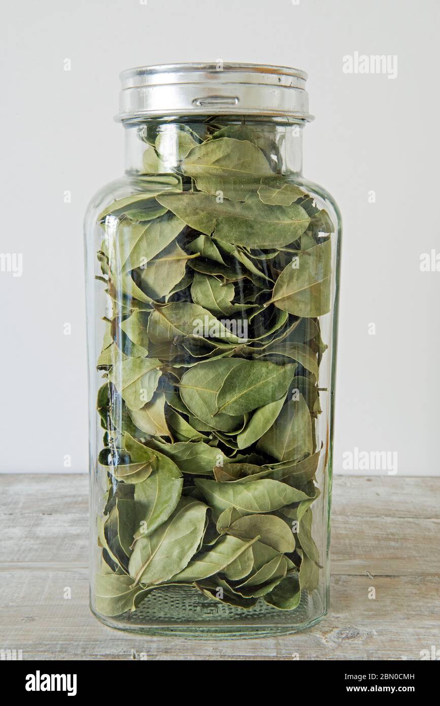 https://c8.alamy.com/comp/2BN0CMH/bay-leaves-laurus-nobilis-dried-herb-in-tall-recycled-vintage-old-sweet-storage-jar-with-silver-lid-on-wooden-work-top-with-white-background-zero-waste-concept-2BN0CMH.jpg