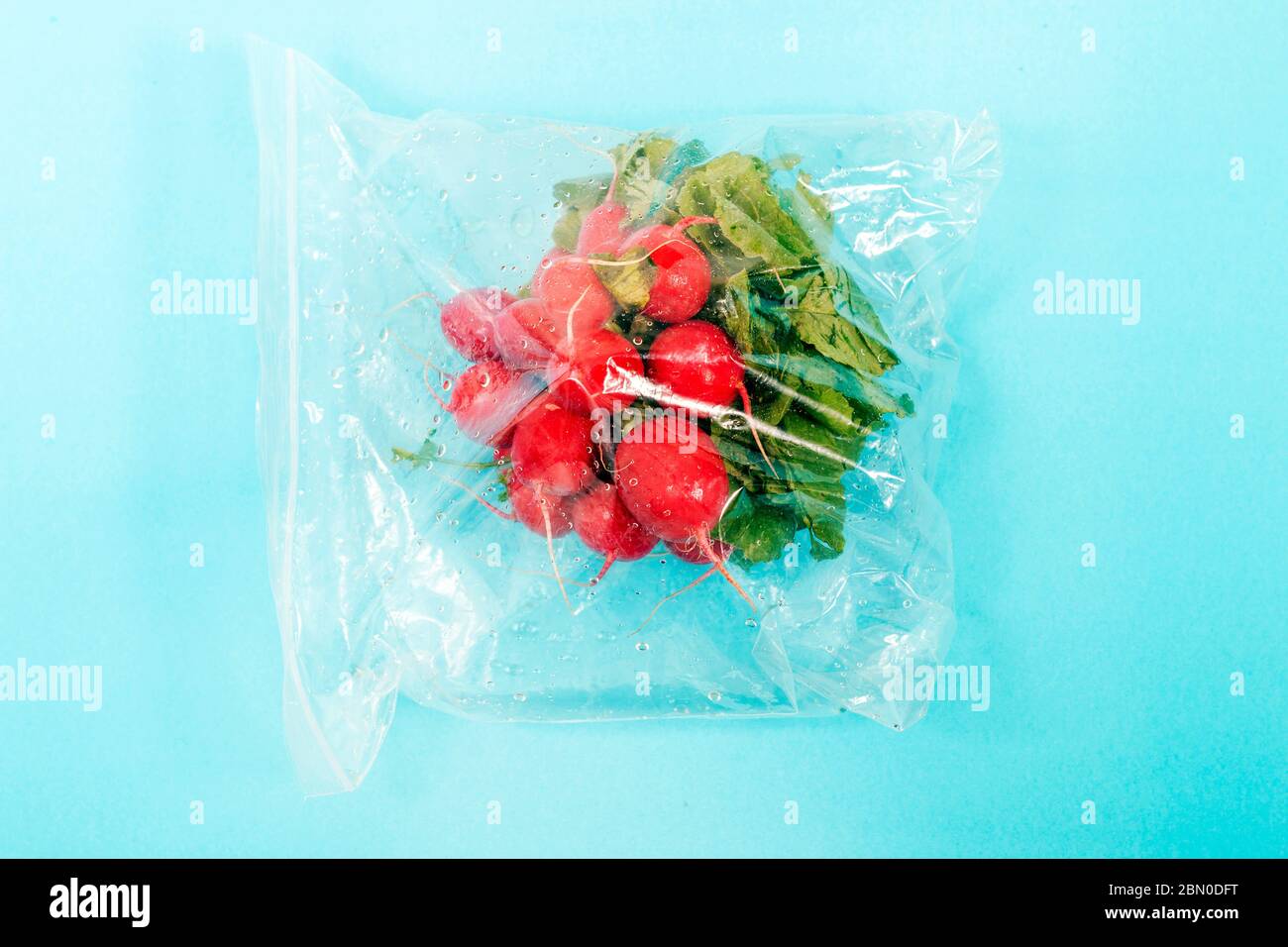 Download Fresh Organic Vegetable Radish Roots From The Grocery Market On A Plastic Bag Stock Photo Alamy Yellowimages Mockups