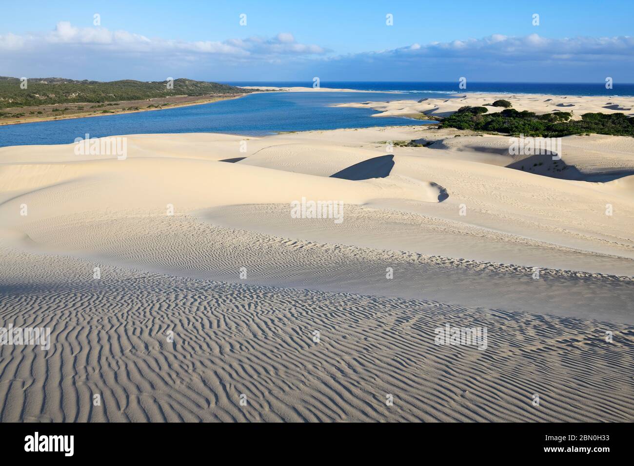 Sand dunes on the Sundays River, Alexandria Dune Fields, Eastern Cape