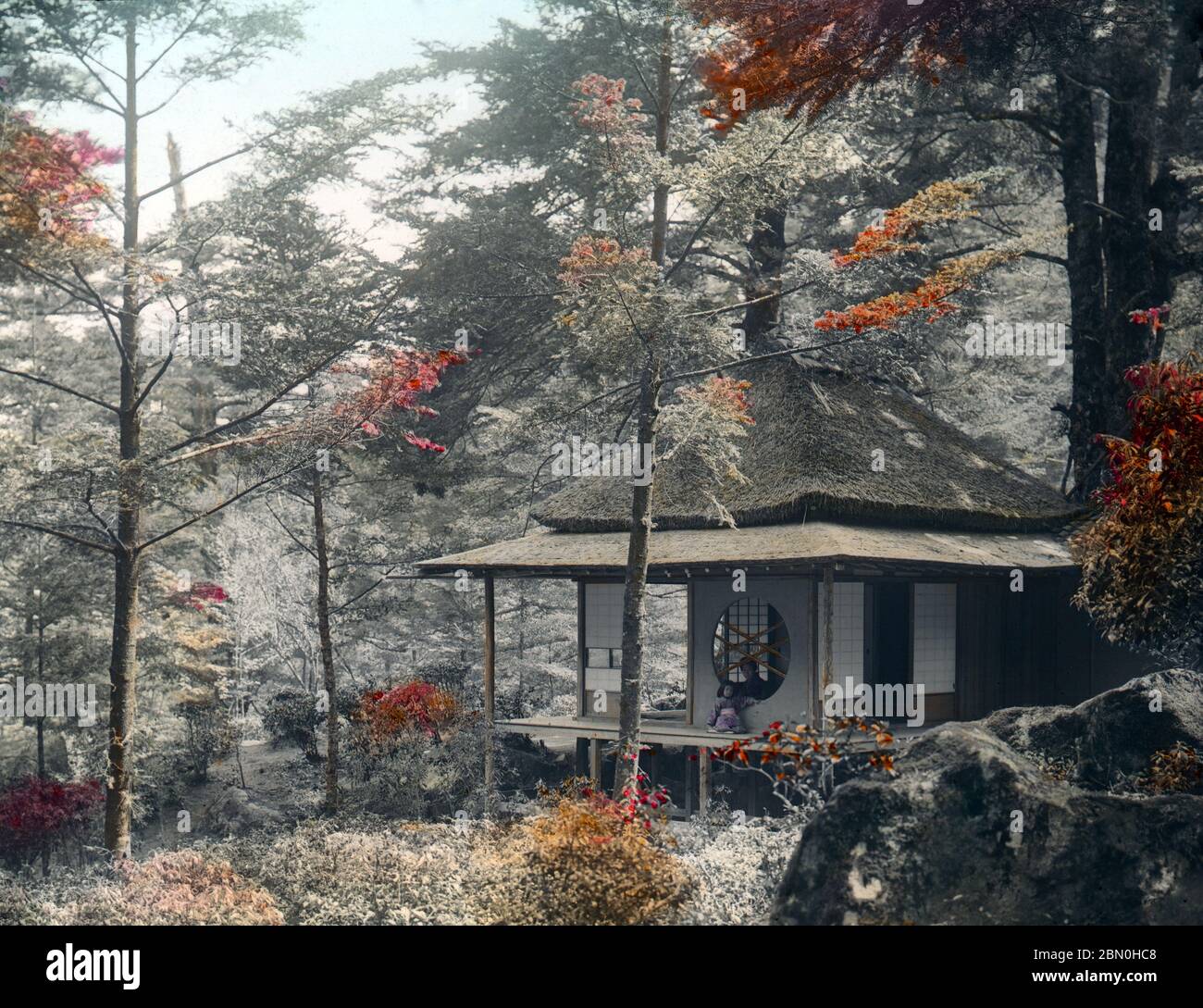 [ 1900s Japan - Japanese Thatched Cottage in Autumn ] — Autumn colors