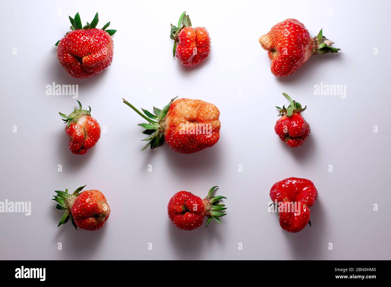 Trendy ugly food pattern fresh red strawberry on white isolated background with shadows.  Misshapen produce, food waste problem concept Stock Photo