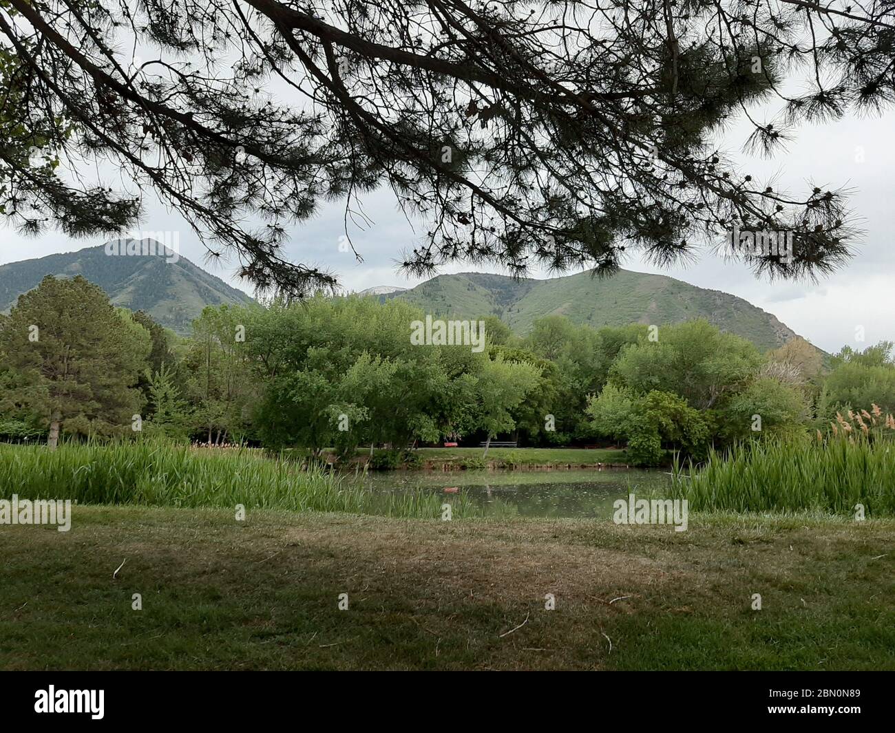 Canyon View Park, Spanish Fork, Utah Stock Photo Alamy