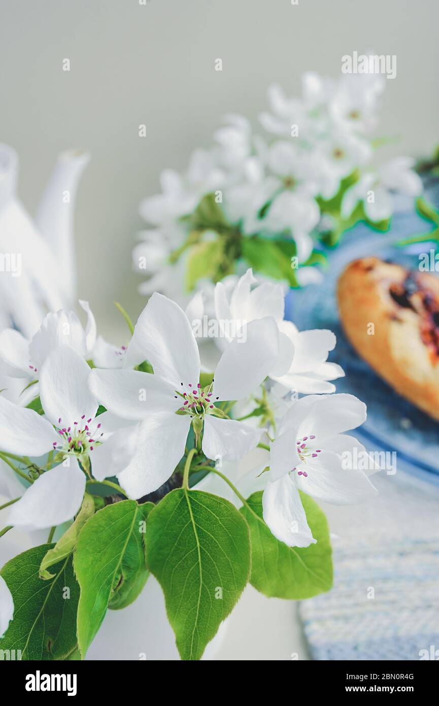 vertical image blooming fresh twig of white large flowers of pear with green leaves on a twig and a piece of homemade berry pie on a blue dish in the Stock Photo