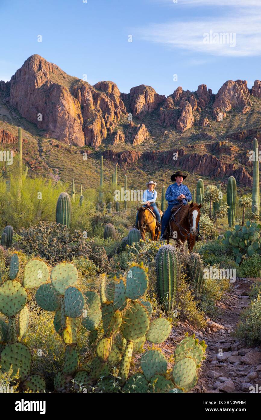 Horseback riding, White Stallion Ranch, Tucson, Arizona. Stock Photo