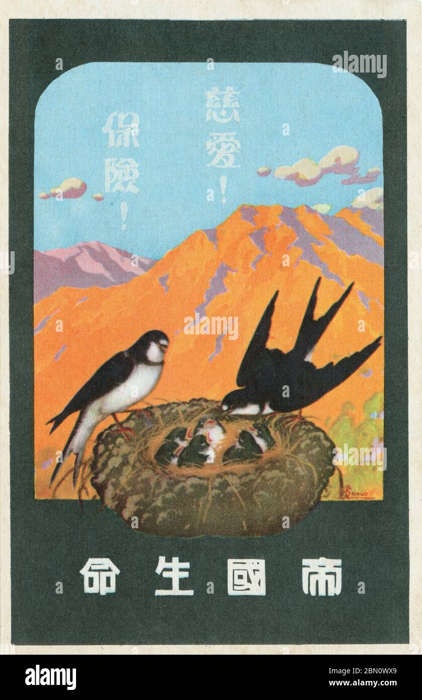 [ 1928 Japan - Ad with Swallows Feeding Young ] —   Advertising postcard for Teikoku Seimei life insurance (帝国生命, now Asahi Seimei) with an illustration of a a swallow couple feeding the chicks in their nest, ca. 1928 (Showa 3).  The caption reads, 'Parental Love! Insurance!'.  20th century vintage postcard. Stock Photo