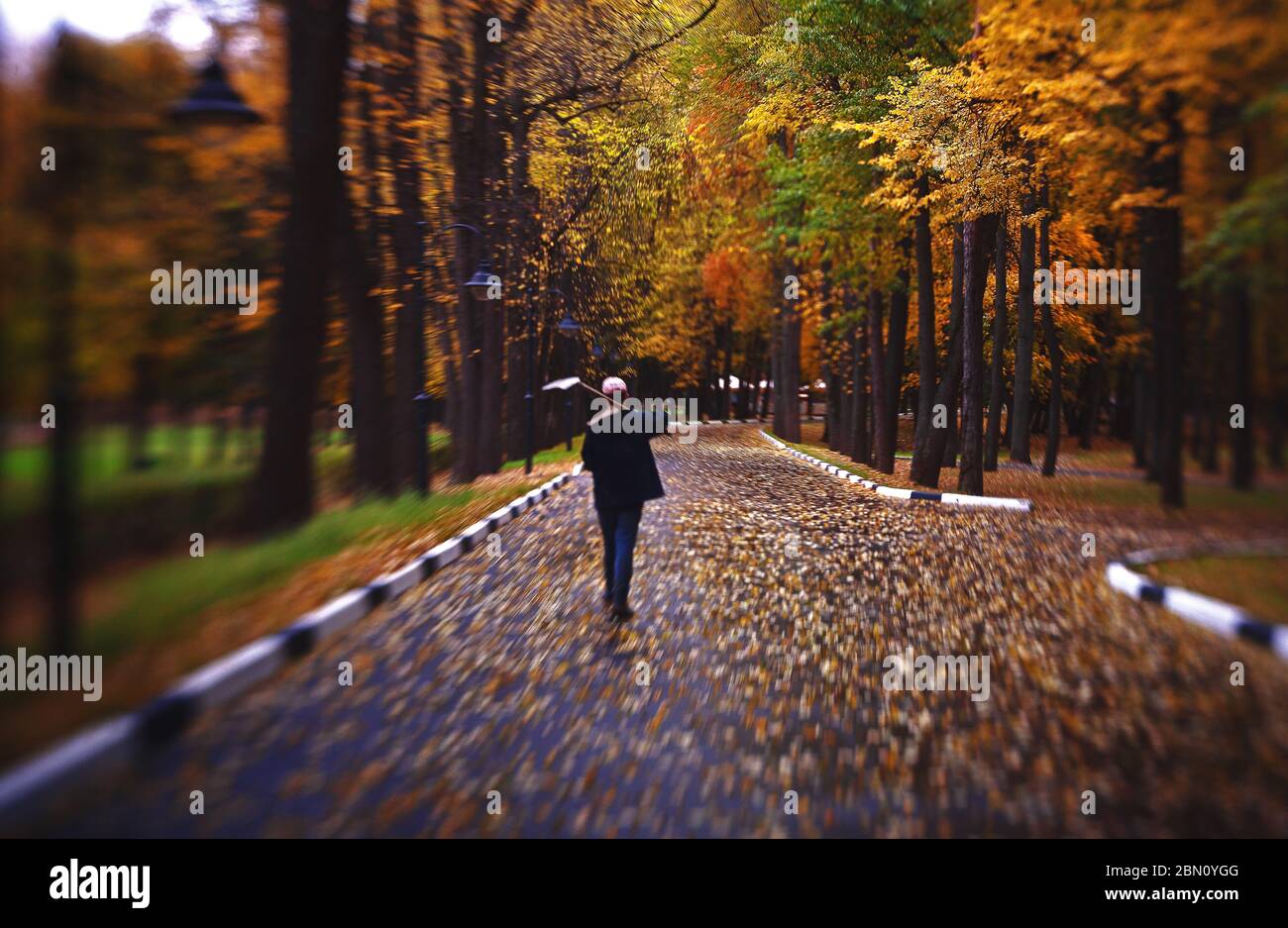 janitor with a shovel walking away, fallen leaves on a autumn street. Cleaning leaves in the city, street sweeper with broom, fall season Stock Photo