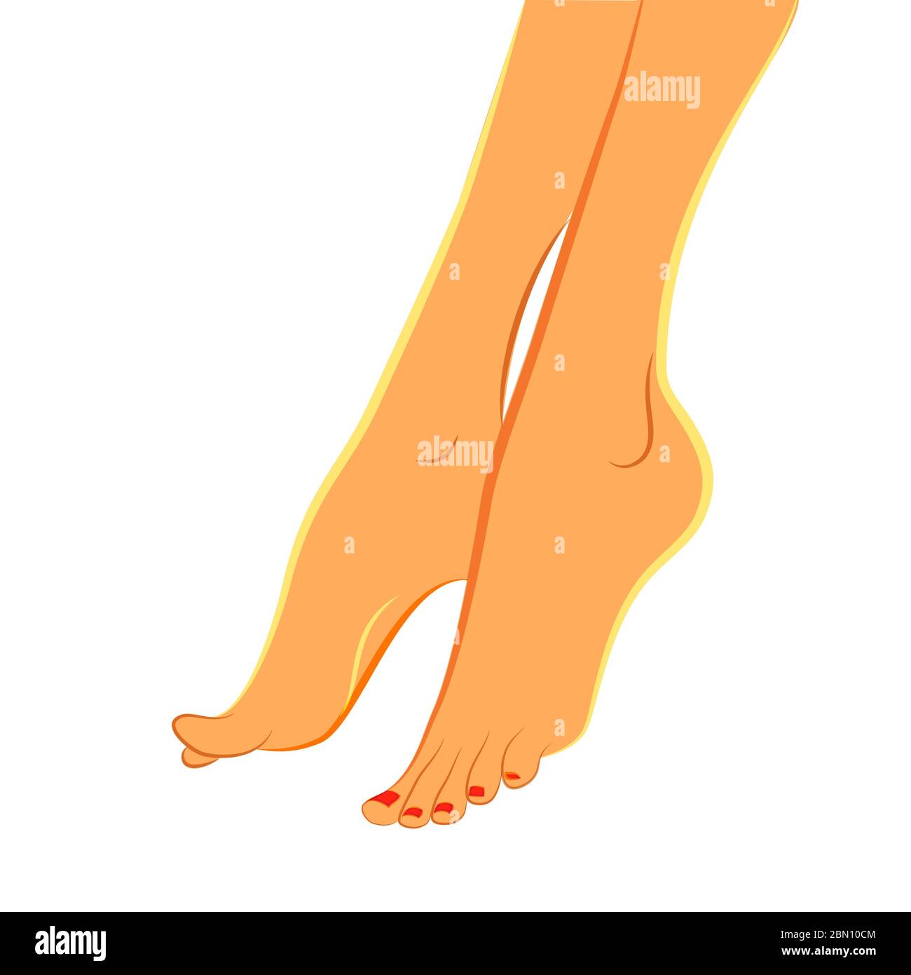 White woman s feet vector isolated on white background. Pedicure ...