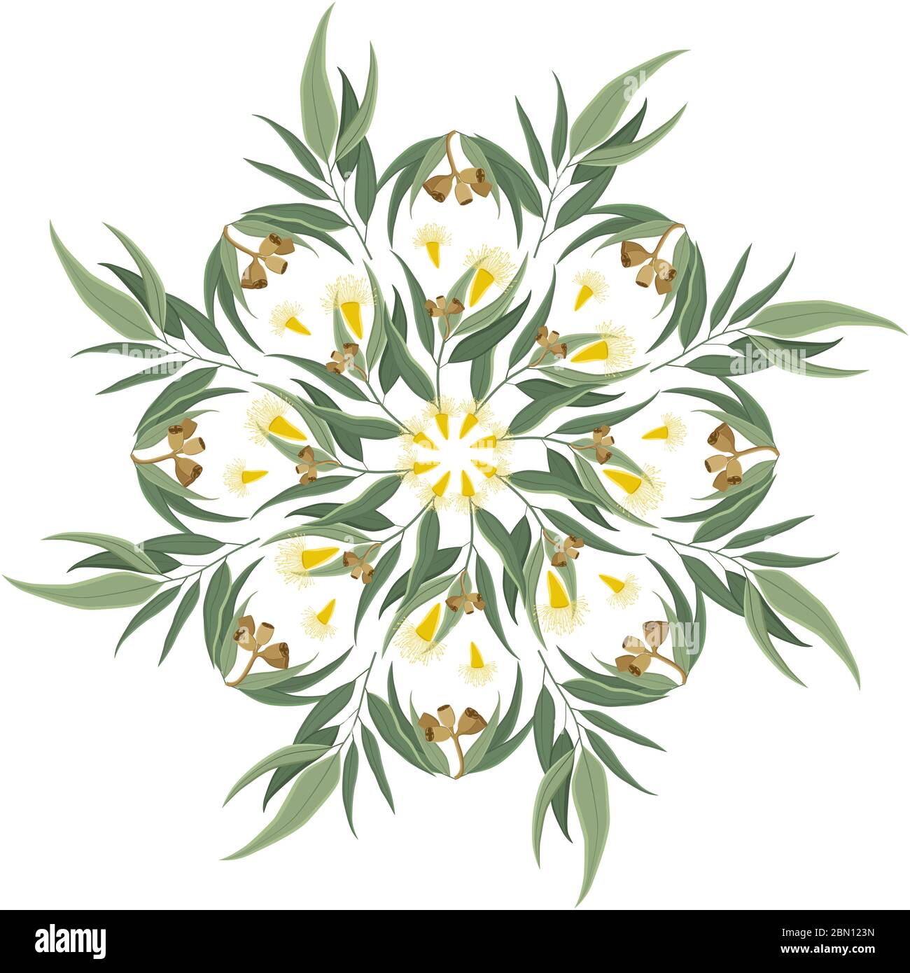 Abstract round ornament, mandala with eucalyptus leaves, seeds and flowers. Circular floral motif, pattern isolated on white background Stock Vector
