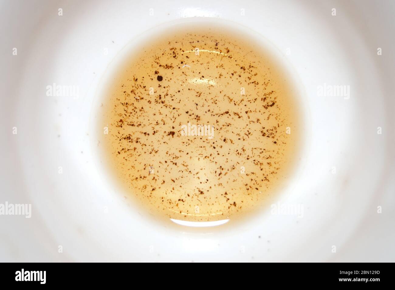 Bottom of a cup of tea Stock Photo Alamy