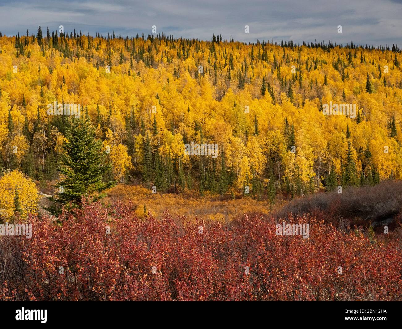 Autumn, Brooks Range, Arctic Alaska. Stock Photo
