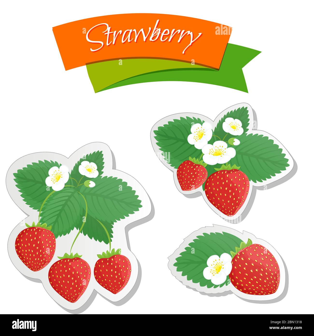 Food label or sticker set. Set of realistic berries, strawberries design template. Vector illustration template isolated on white background Stock Vector