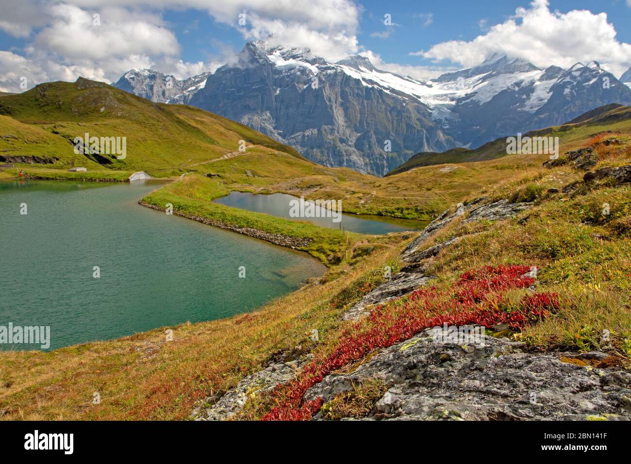 Bachalpsee Stock Photo