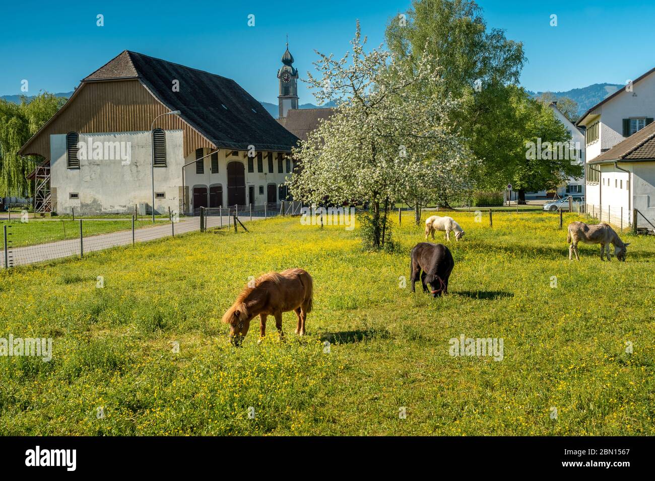 Wurmsbach Abbey (Kloster MariazellWurmsbach) a Cistercian monastery on