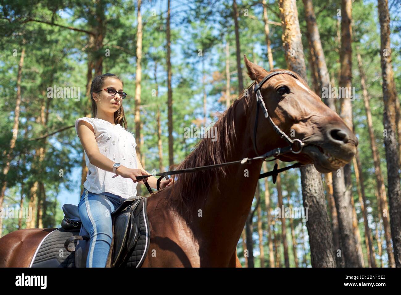 Download Teenager Girl Riding A Brown Horse Horseback Riding For People In The Park Stock Photo Alamy