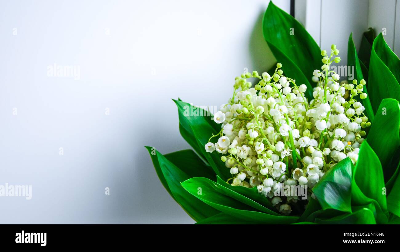 A bouquet of lilies of the valley stands in a glass jar on the