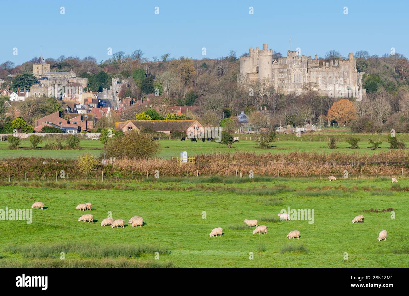 View of Arundel Castle with fields of sheep in the South Downs in Winter in West Sussex, England, UK. Arundel UK. Stock Photo