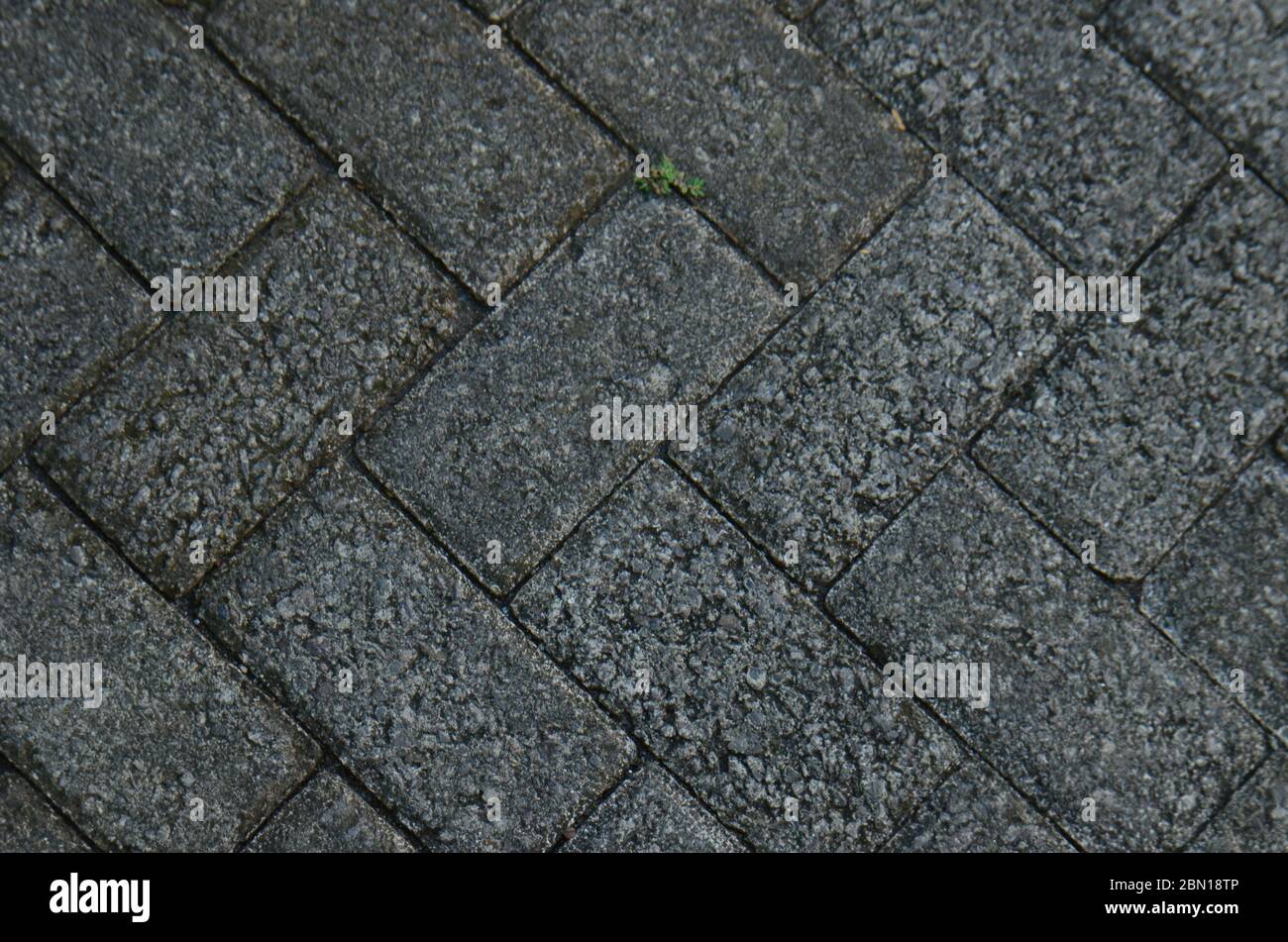 Paving stone texture. texture of the paved tile on the bottom of the street. Stock Photo