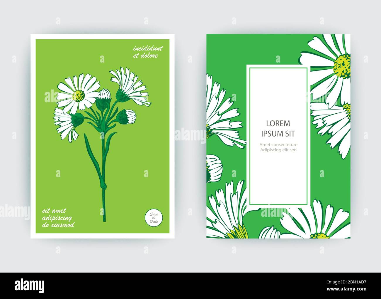 Hand drawn close-up Chrysanthemum flower artistic vector illustration ...