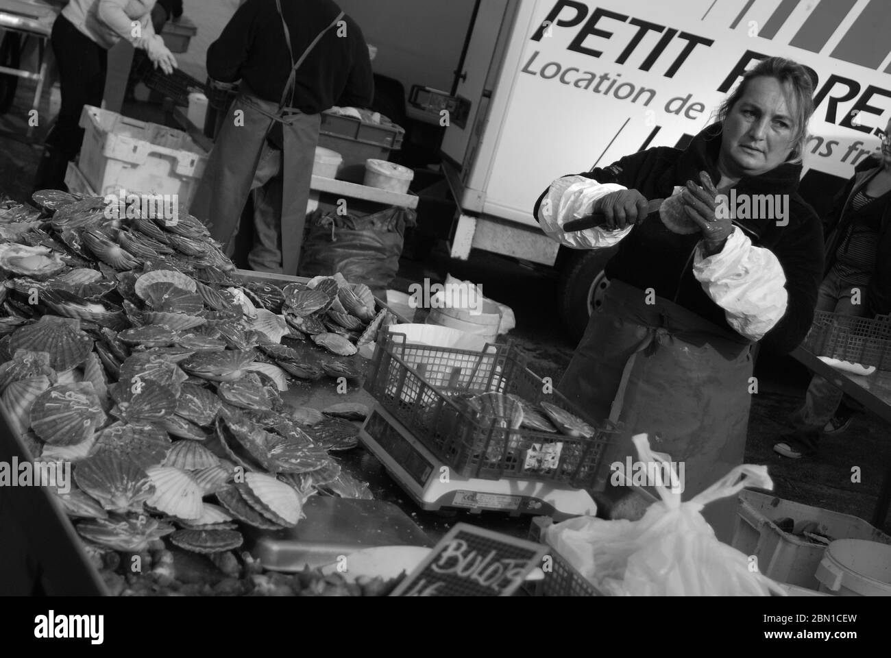 Preparing oysters, Dieppe, Normandy, France Stock Photo Alamy