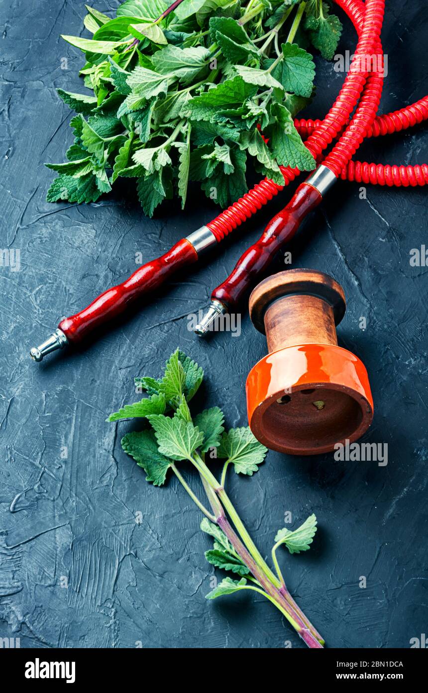 oriental turkish tobacco OHM 5-lb Yellow Oriental smoking shisha with tobacco
