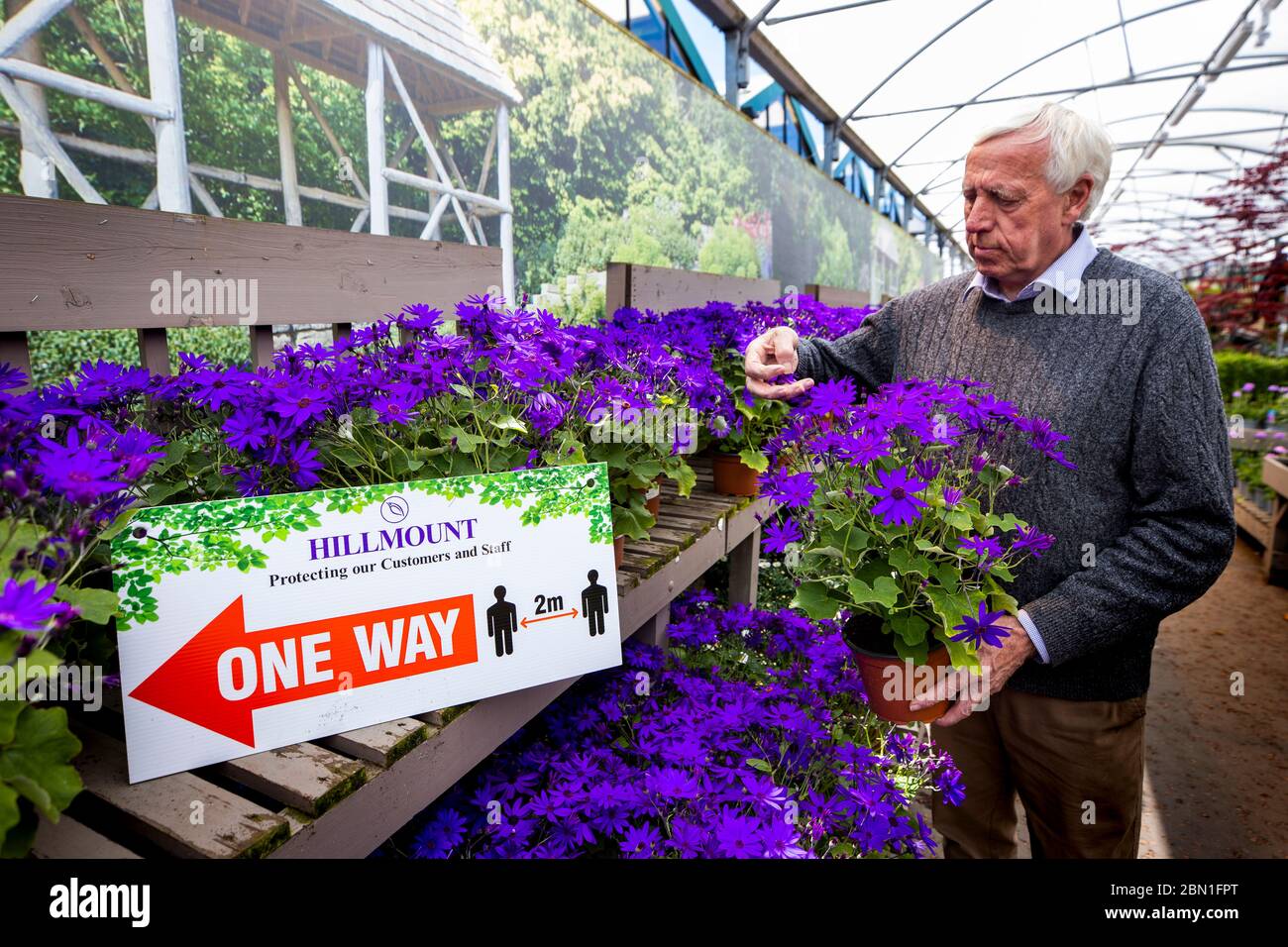 Robin Mercer, owner of Hillmount Garden Centres, tending to a potted plant beside a sign advising customers to social distance at his Belfast centre on the outskirts of city. Mr Mercer is hoping that Stormont will ease the coronavirus lockdown and allow the public to visit gardening centres from Wednesday. Stock Photo