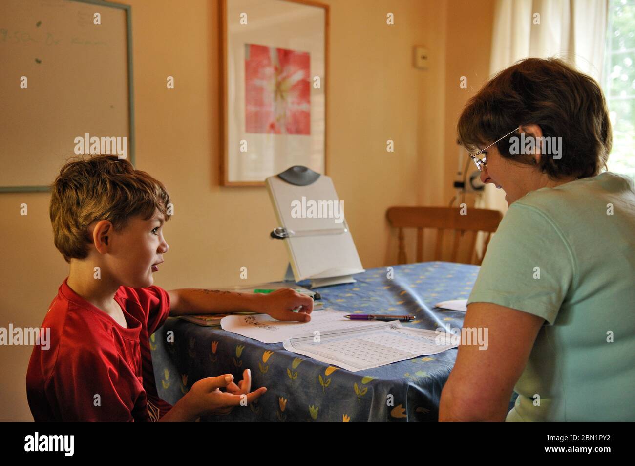 8 year old boy with special needs being home schooled by qualified teacher, UK 2008 Stock Photo
