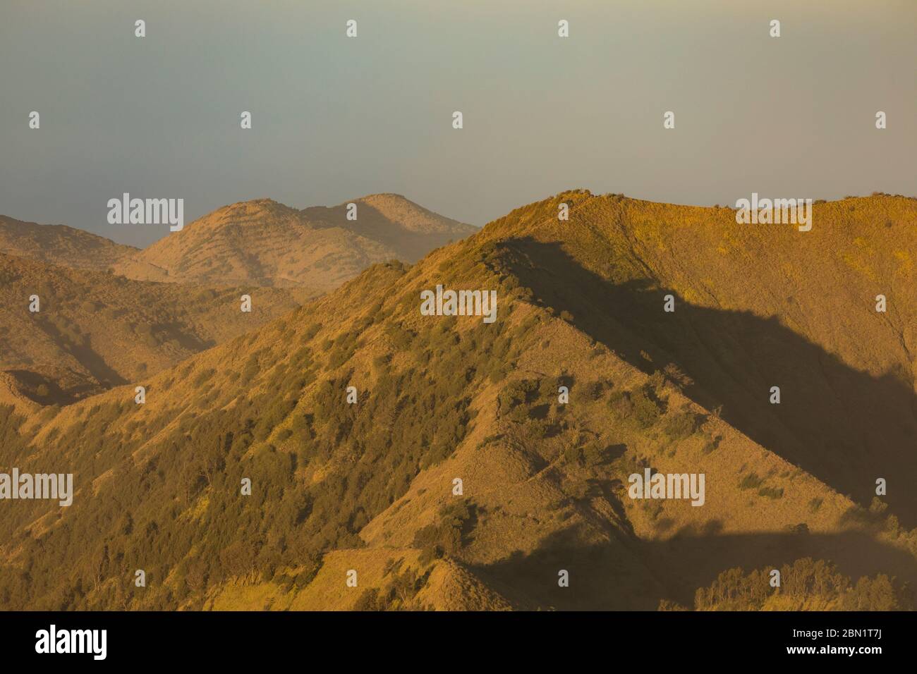 Sunrise close-up of the Widodaren mountain aside the active volcano Bromo, in the Tengger massif, in East Java, Indonesia. Stock Photo
