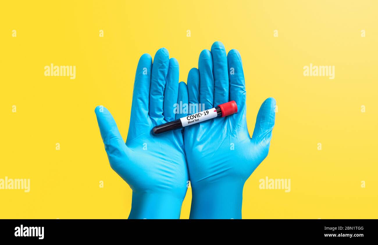 closeup hand in blue rubber glove holding Coronavirus blood sample in test tube for covid-19 analyzing, isolated on yellow. laboratory analyzing Stock Photo