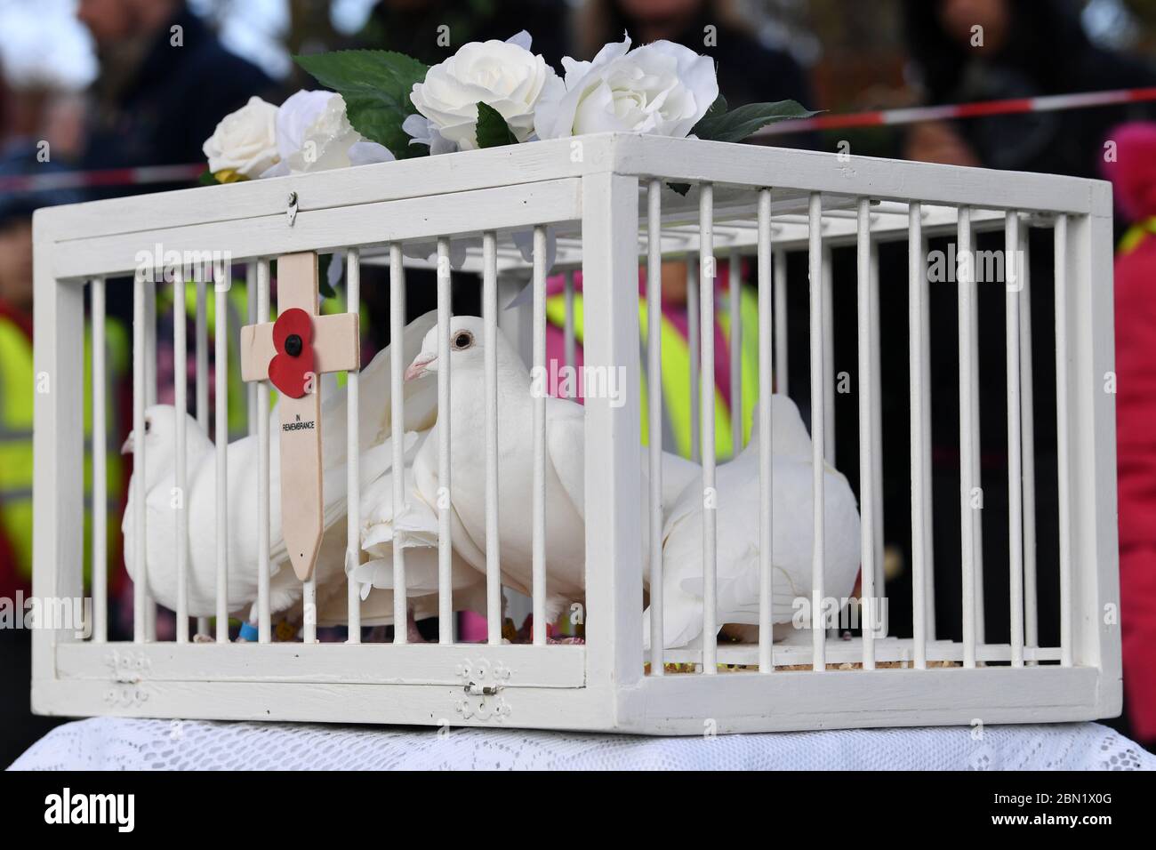 Doves of peace hi-res stock photography and images - Alamy